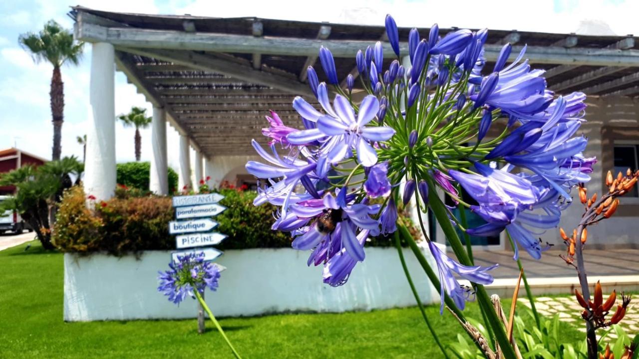 Blue Marine Apartment 波扎洛 外观 照片